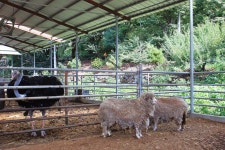 햇살아래 캠핑장 고캠핑