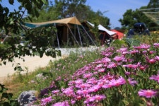 햇솔오토캠핑장 고캠핑