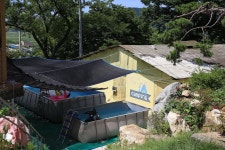 햇솔오토캠핑장 고캠핑