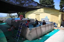 햇솔오토캠핑장 고캠핑