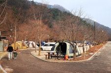 구룡자동차야영장(치악산국립공원)