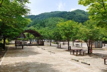 구룡자동차야영장(치악산국립공원) 고캠핑