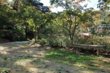 호수산장관광농원 고캠핑