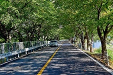 황산문화체육공원 국민여가캠핑장