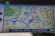 횡성 온새미로 캠핑장 고캠핑