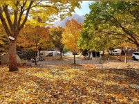 횡성산울림오토캠핑장 고캠핑