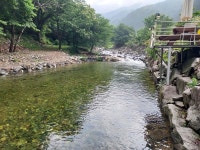 횡성산울림오토캠핑장 고캠핑