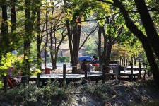 희리산 해송자연휴양림 일반야영장 고캠핑