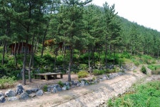 희리산 해송자연휴양림 일반야영장 고캠핑