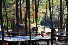 희리산 해송자연휴양림 일반야영장 고캠핑