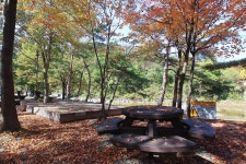 구수곡 자연휴양림 고캠핑