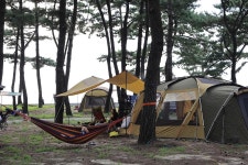 구시포 노을 캠핑장