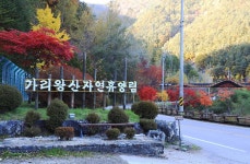 국립가리왕산자연휴양림 고캠핑