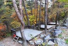 국립가리왕산자연휴양림 고캠핑