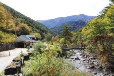 국립자연휴양림관리소 두타산자연휴양림