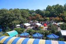 주식회사 디노 담양힐링파크 지점