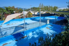 주식회사 디노 담양힐링파크 지점