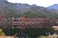 국망봉 자연휴양림캠핑장 고캠핑