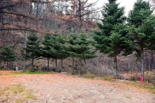 국망봉 자연휴양림캠핑장 고캠핑