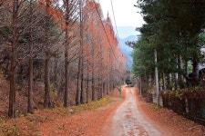 국망봉 자연휴양림캠핑장 고캠핑