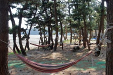 그림나래 힐링캠프