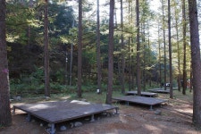 금강송 체험 야영장 고캠핑