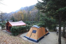 금대자동차야영장(치악산국립공원) 고캠핑