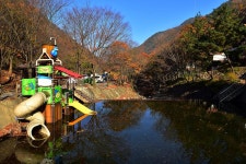 금산산림문화타운 고캠핑