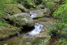 금원산자연휴양림캠핑장
