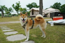 금은모래 캠핑장