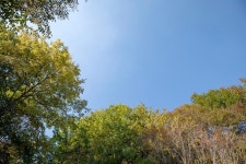 깊이울 달빛 캠핑장 고캠핑