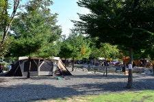 꿈에그린 캠핑장