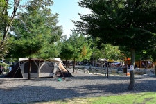 꿈에그린 캠핑장 고캠핑