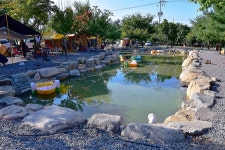 꿈에그린 캠핑장 고캠핑