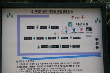 나드리야영장 고캠핑