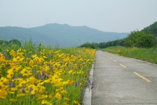 낙동강 레포츠밸리 강변오토캠핑장