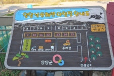 낙산해수욕장 야영장 고캠핑