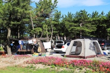 낙산해수욕장 야영장 고캠핑