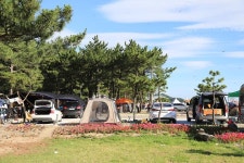 한국관광공사 고캠핑 고캠핑