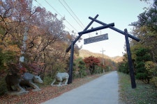 THATS CAMPING 횡성자연휴양림야영장 고캠핑