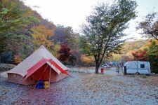 THATS CAMPING 횡성자연휴양림야영장 고캠핑