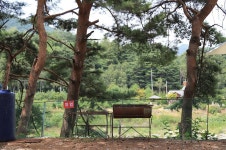 내린천솔밭힐링캠핑장