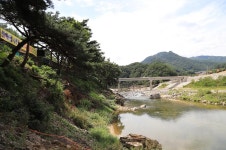 내린천솔밭힐링캠핑장 고캠핑