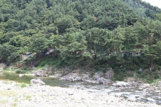 내린천솔밭힐링캠핑장 고캠핑