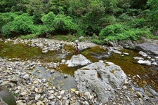 내장산국립공원 내장야영장 고캠핑
