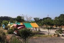 농어바위캠핑장