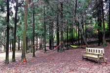 느랭이골 자연휴양림 일반야영장