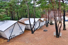 느랭이골 자연휴양림 일반야영장