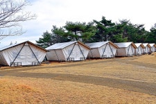 느랭이골 자연휴양림 일반야영장 고캠핑