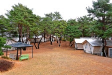 느랭이골 자연휴양림 일반야영장